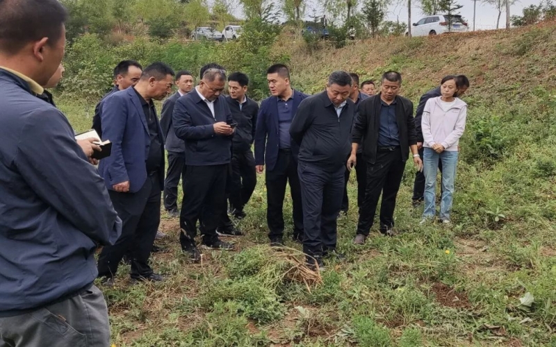 天水市政協(xié)副主席、清水縣委書記馬越垠到“榮程百草莊園”中藥材試驗基地調(diào)研中草藥產(chǎn)業(yè)發(fā)展工作