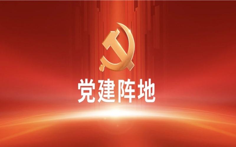 黨建陣地 - 融誠(chéng)物產(chǎn)金屬公司開(kāi)展主題黨日活動(dòng)